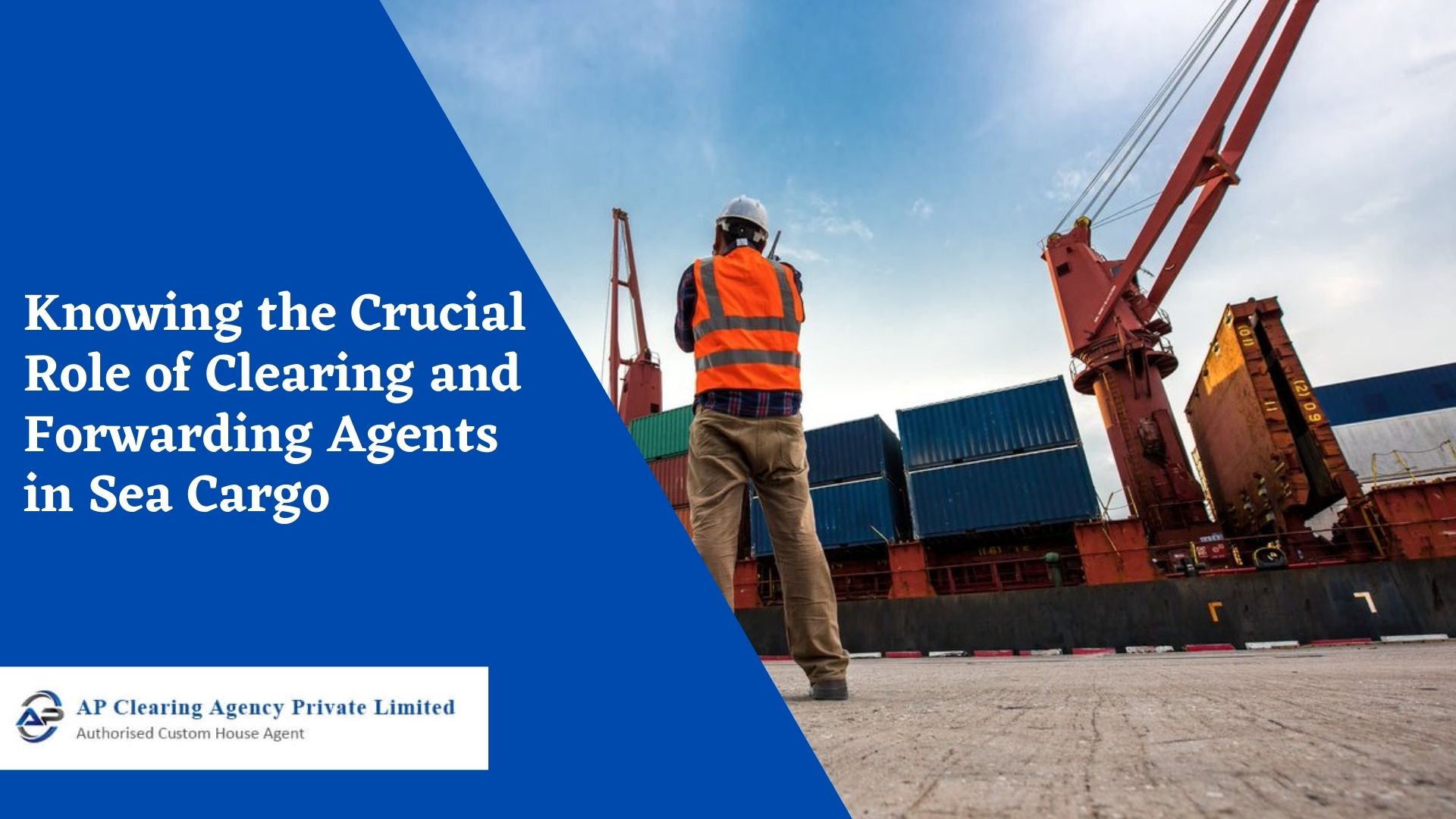 knowing-the-crucial-role-of-clearing-and-forwarding-agents-in-sea-cargo